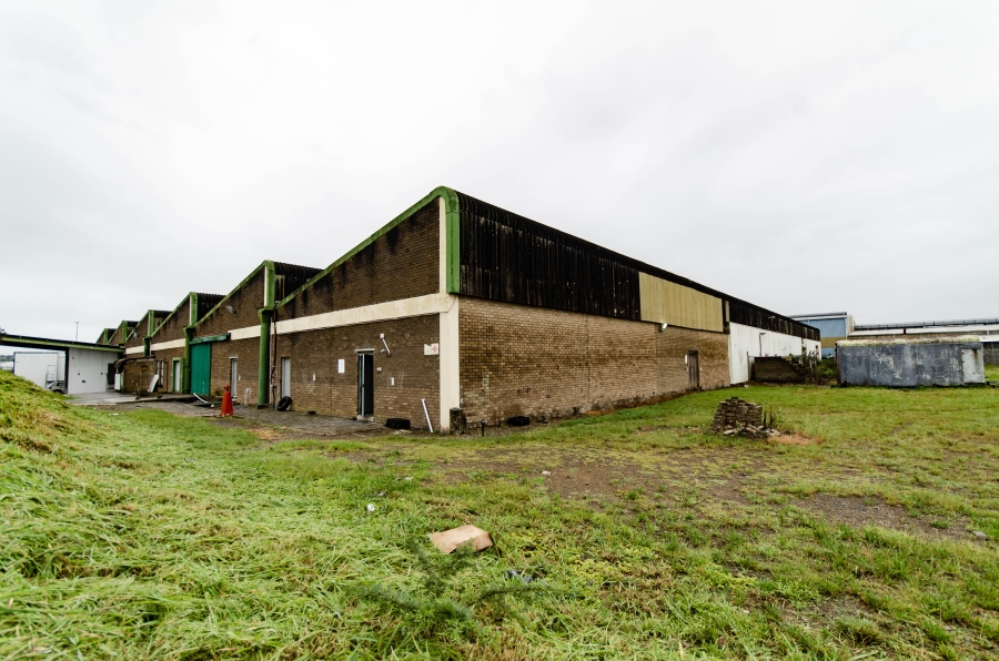 To Let 0 Bedroom Property for Rent in Fort Jackson Industrial Eastern Cape